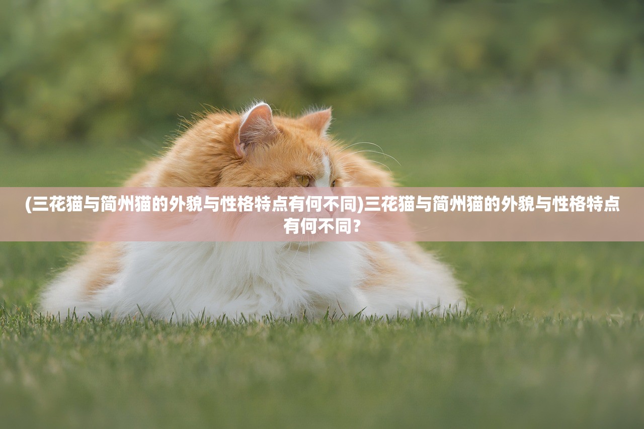 (三花猫与简州猫的外貌与性格特点有何不同)三花猫与简州猫的外貌与性格特点有何不同？