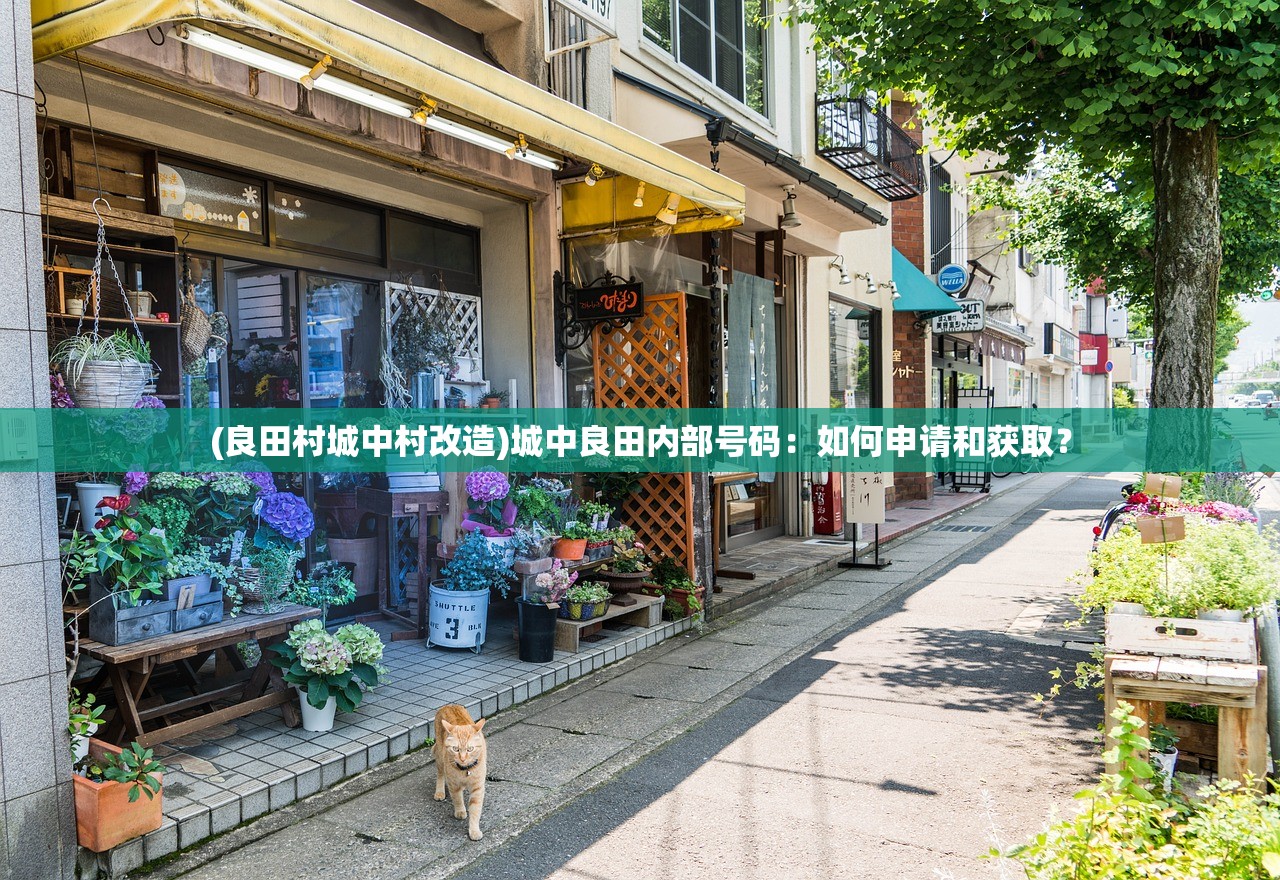 (坎公骑冠剑女仆强度)坎公骑冠剑&女骑与公主的甜蜜CP画面，令人陶醉