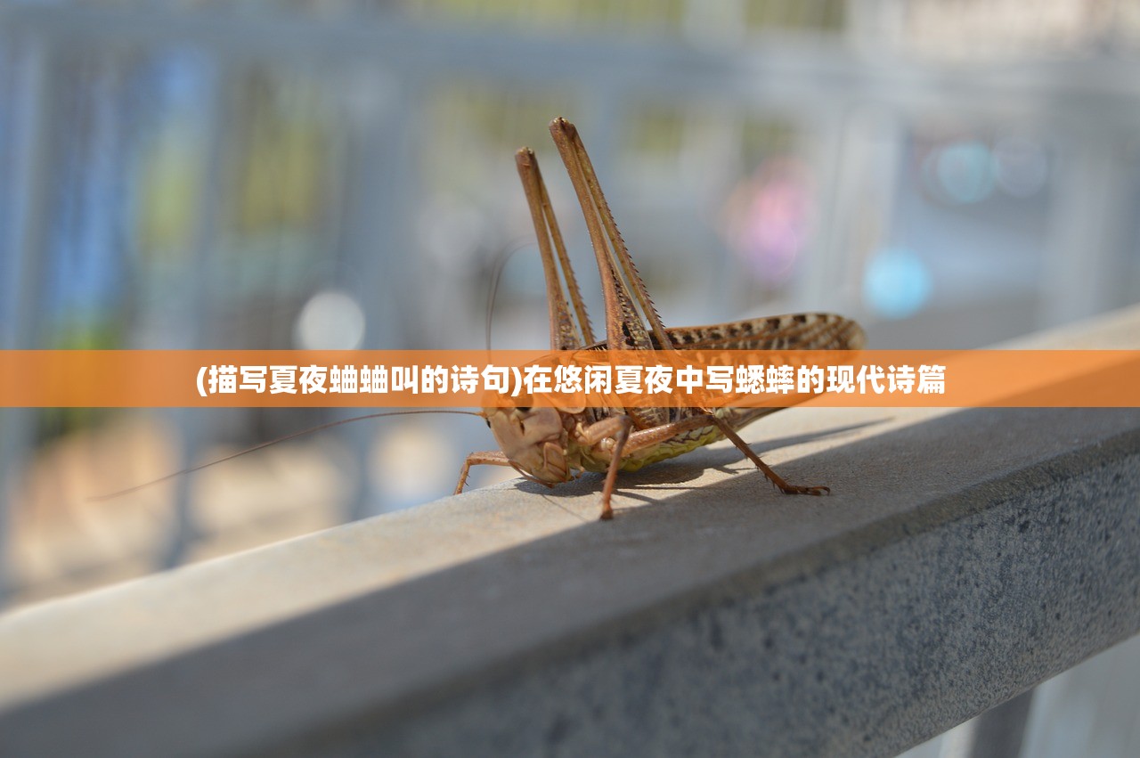 (描写夏夜蛐蛐叫的诗句)在悠闲夏夜中写蟋蟀的现代诗篇