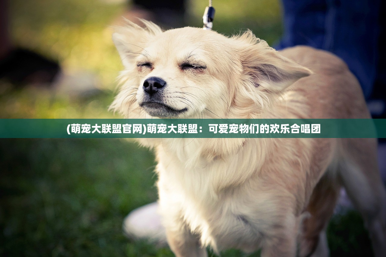 (萌宠大联盟官网)萌宠大联盟：可爱宠物们的欢乐合唱团