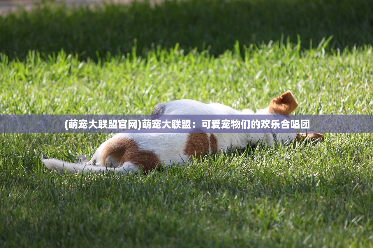 (火柴人战斗模拟器二战无限金币版)火柴人战斗模拟器二战，重温战火纷飞的岁月