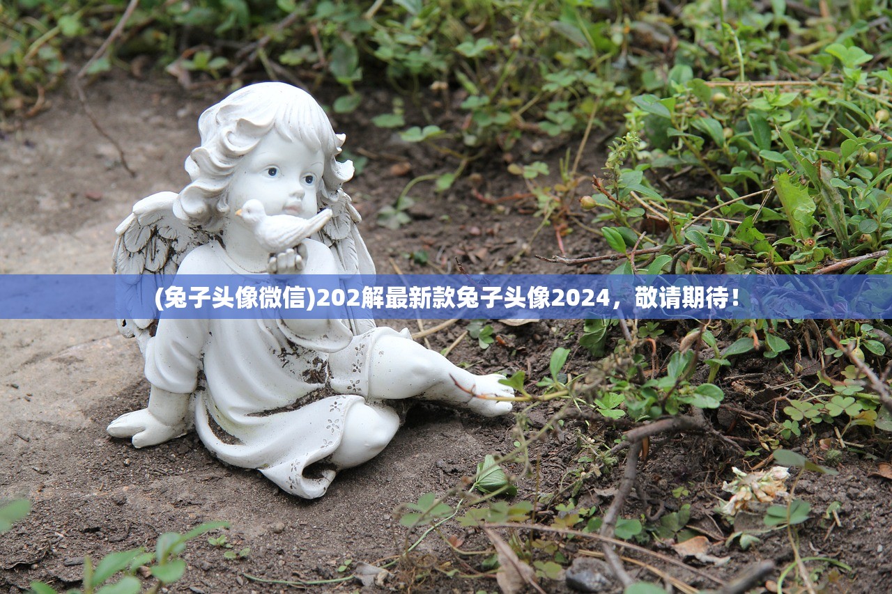 (兔子头像微信)202解最新款兔子头像2024，敬请期待！