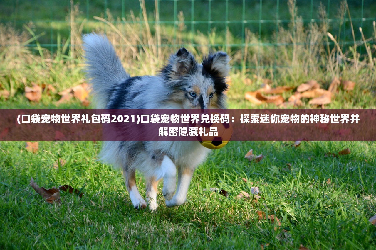 (闹闹天宫最值得买的英雄)闹闹天宫，十大必买英雄全面解析与指南