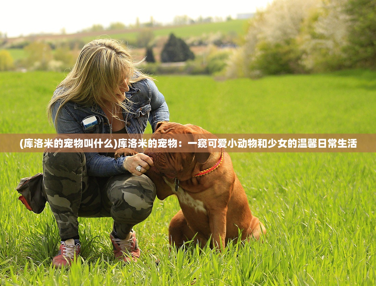 (库洛米的宠物叫什么)库洛米的宠物：一窥可爱小动物和少女的温馨日常生活