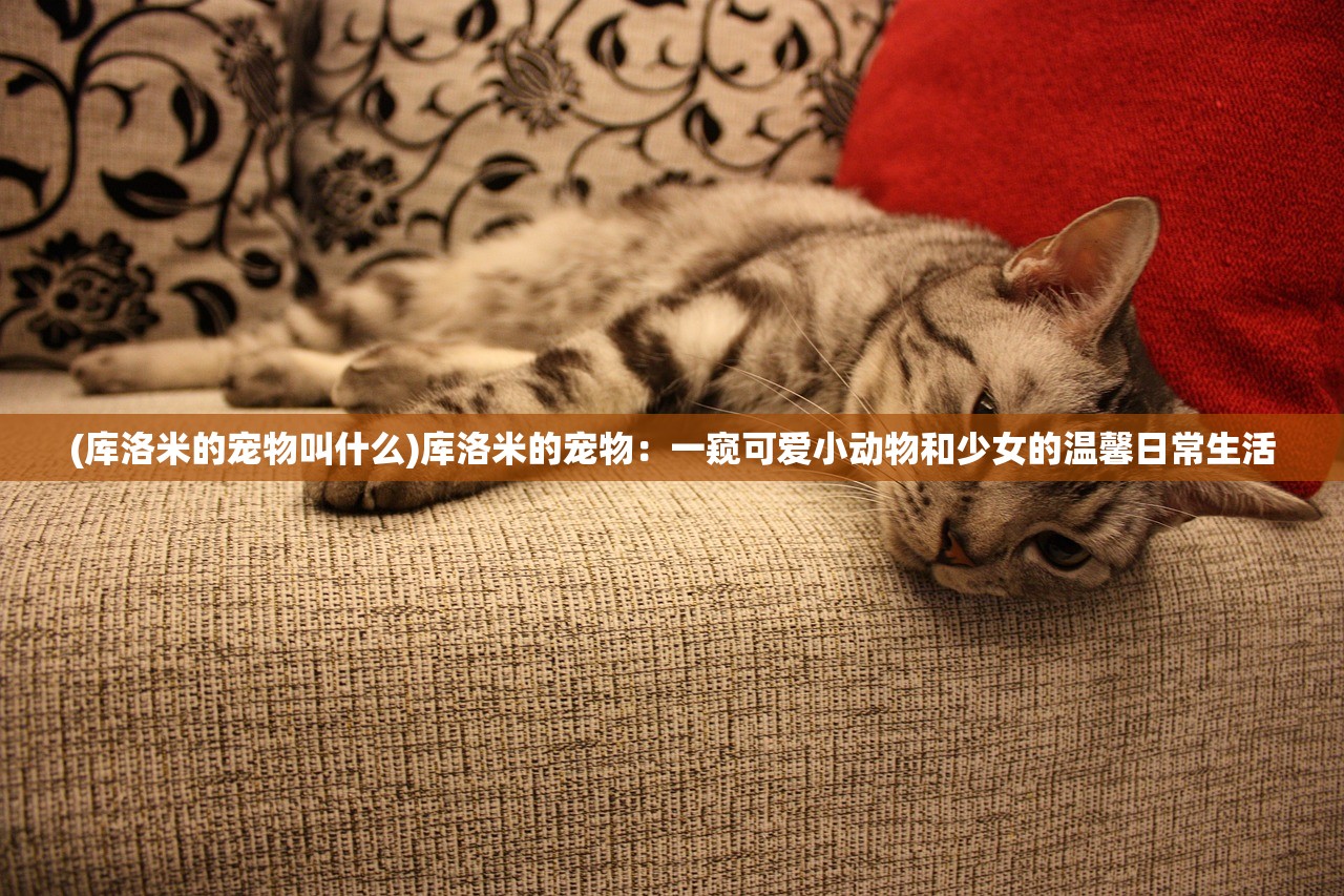 (库洛米的宠物叫什么)库洛米的宠物：一窥可爱小动物和少女的温馨日常生活