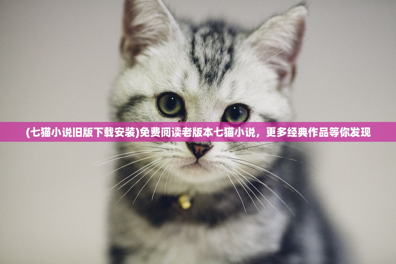 (七猫小说旧版下载安装)免费阅读老版本七猫小说，更多经典作品等你发现
