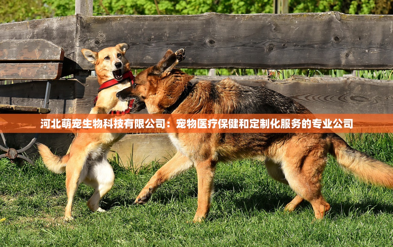 河北萌宠生物科技有限公司：宠物医疗保健和定制化服务的专业公司