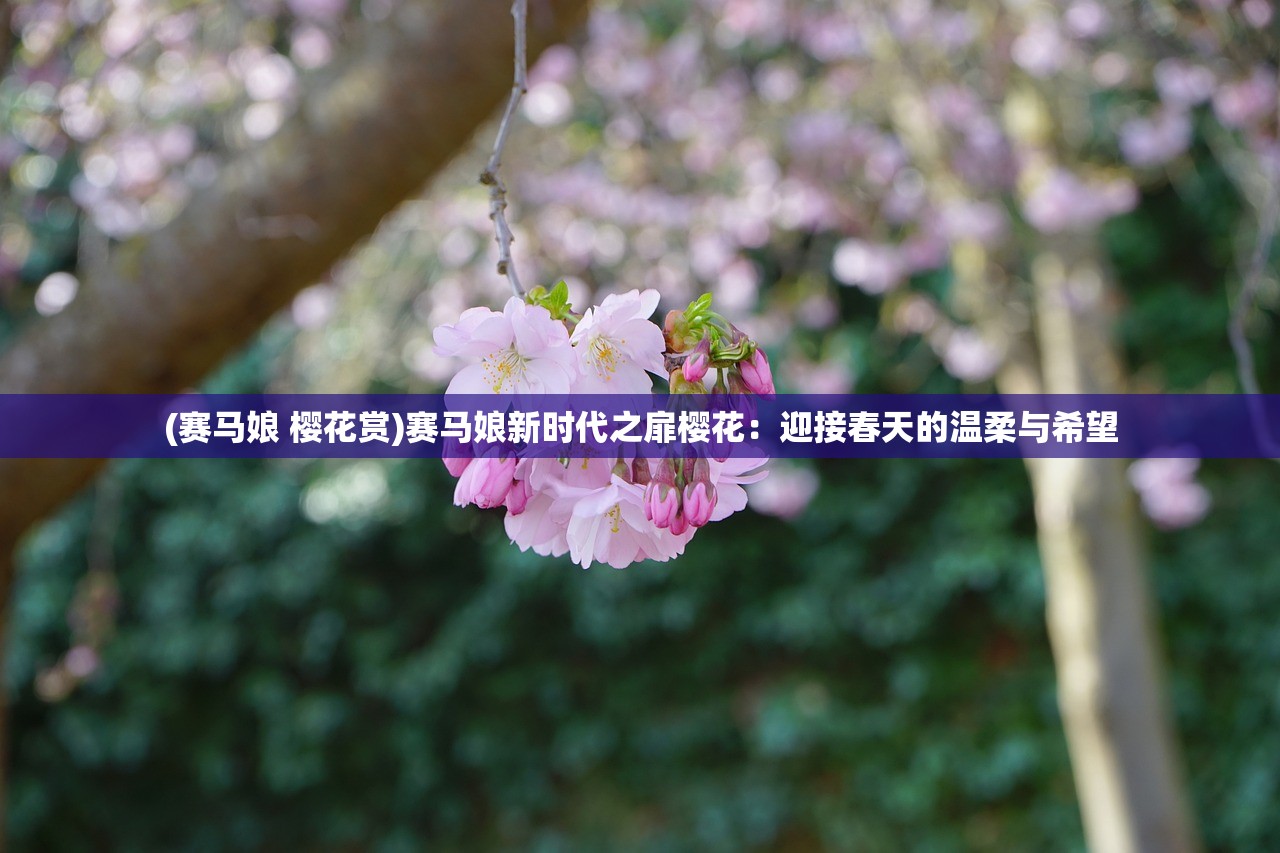 (赛马娘 樱花赏)赛马娘新时代之扉樱花：迎接春天的温柔与希望
