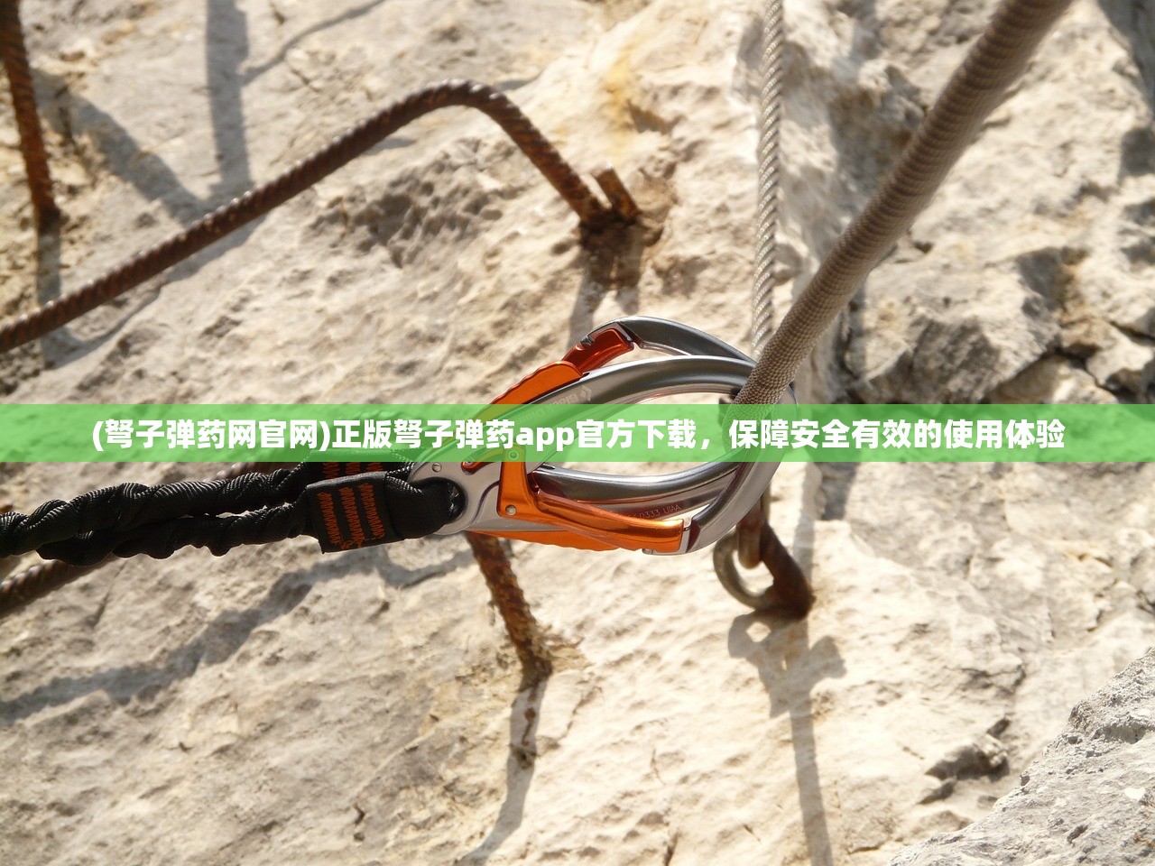 (弩子弹药网官网)正版弩子弹药app官方下载，保障安全有效的使用体验