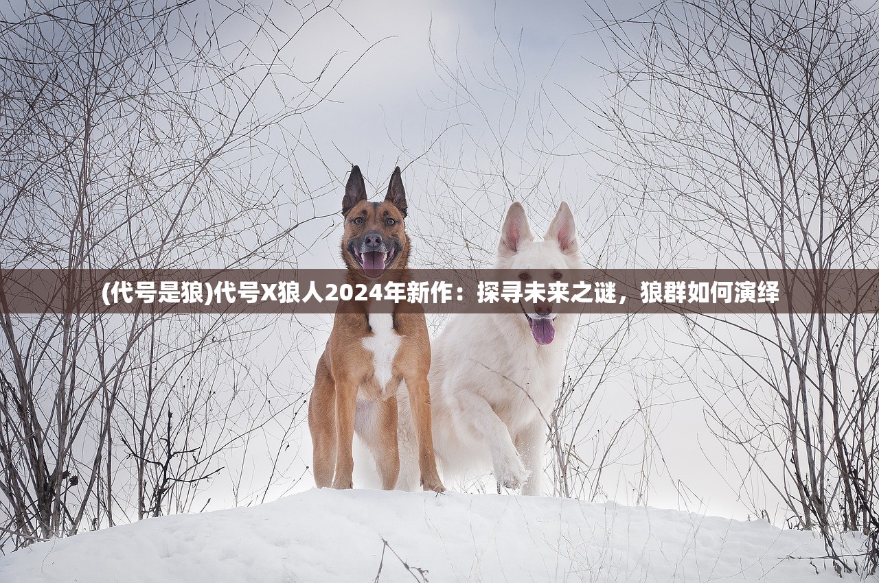 (代号是狼)代号X狼人2024年新作：探寻未来之谜，狼群如何演绎