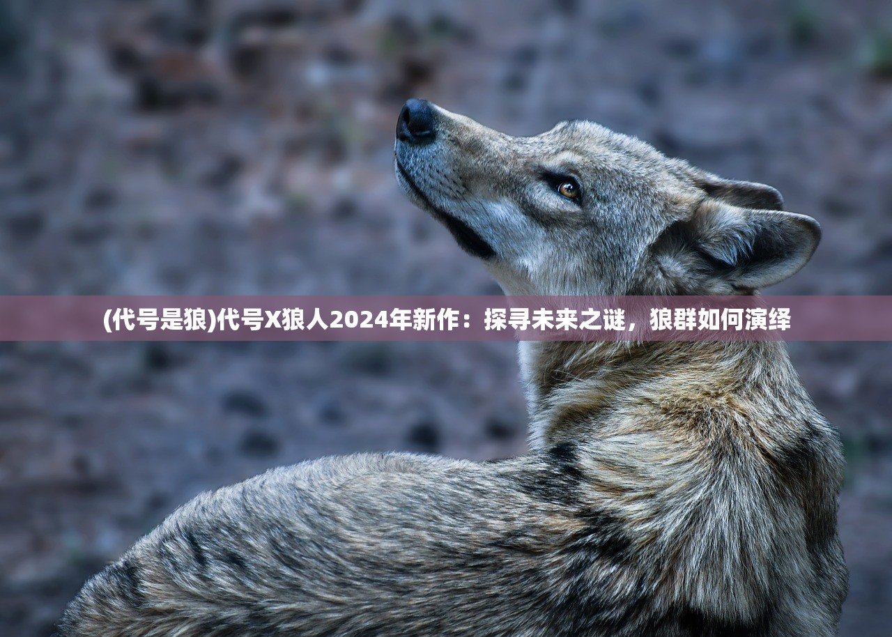 (代号是狼)代号X狼人2024年新作：探寻未来之谜，狼群如何演绎