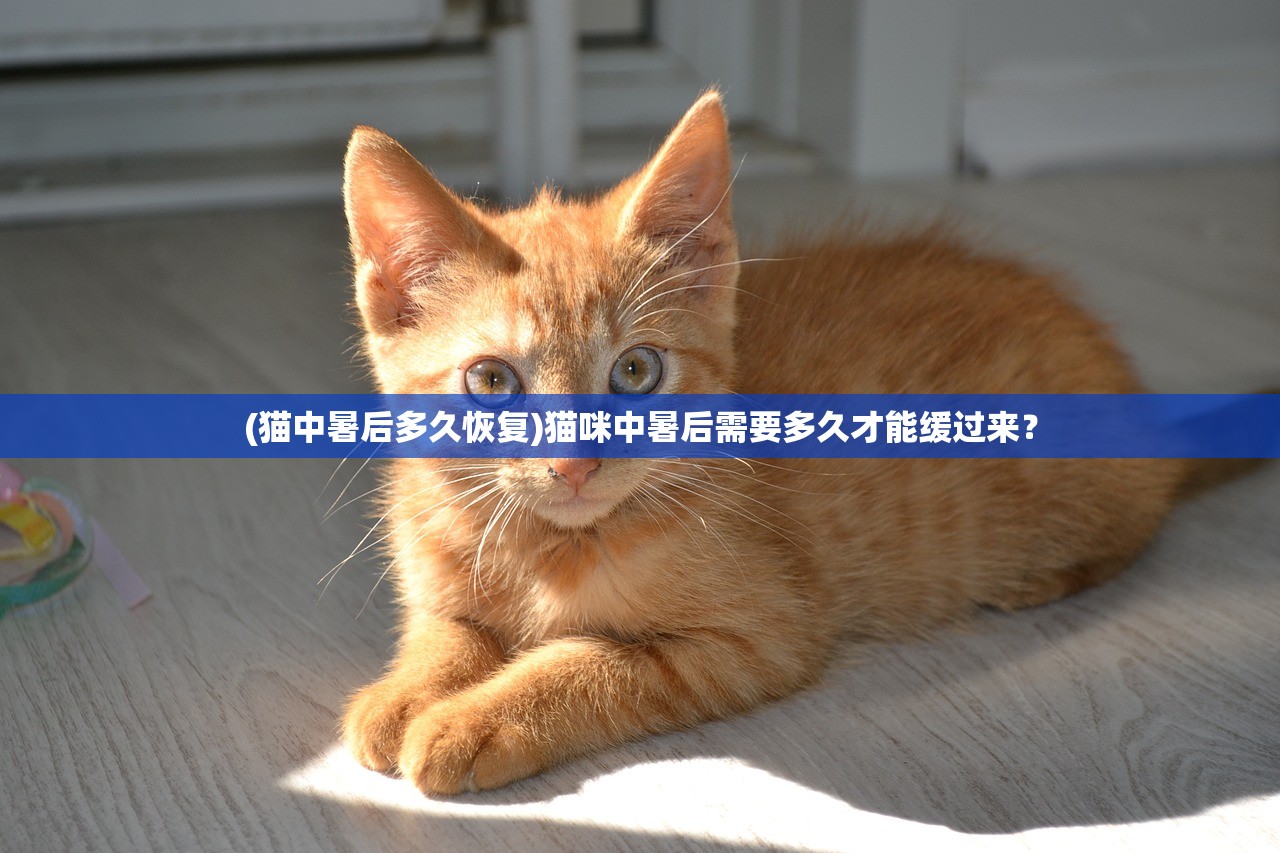 (猫中暑后多久恢复)猫咪中暑后需要多久才能缓过来？