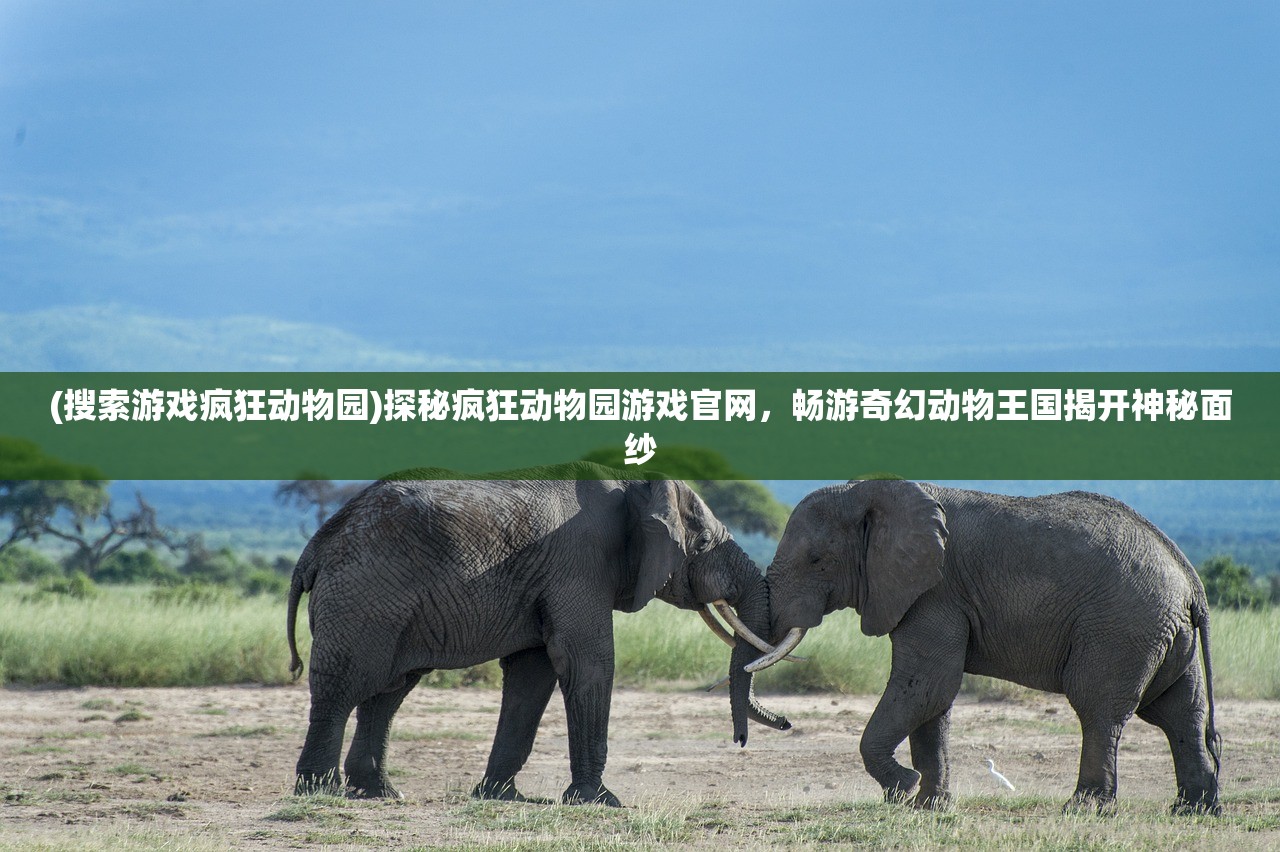 (搜索游戏疯狂动物园)探秘疯狂动物园游戏官网，畅游奇幻动物王国揭开神秘面纱
