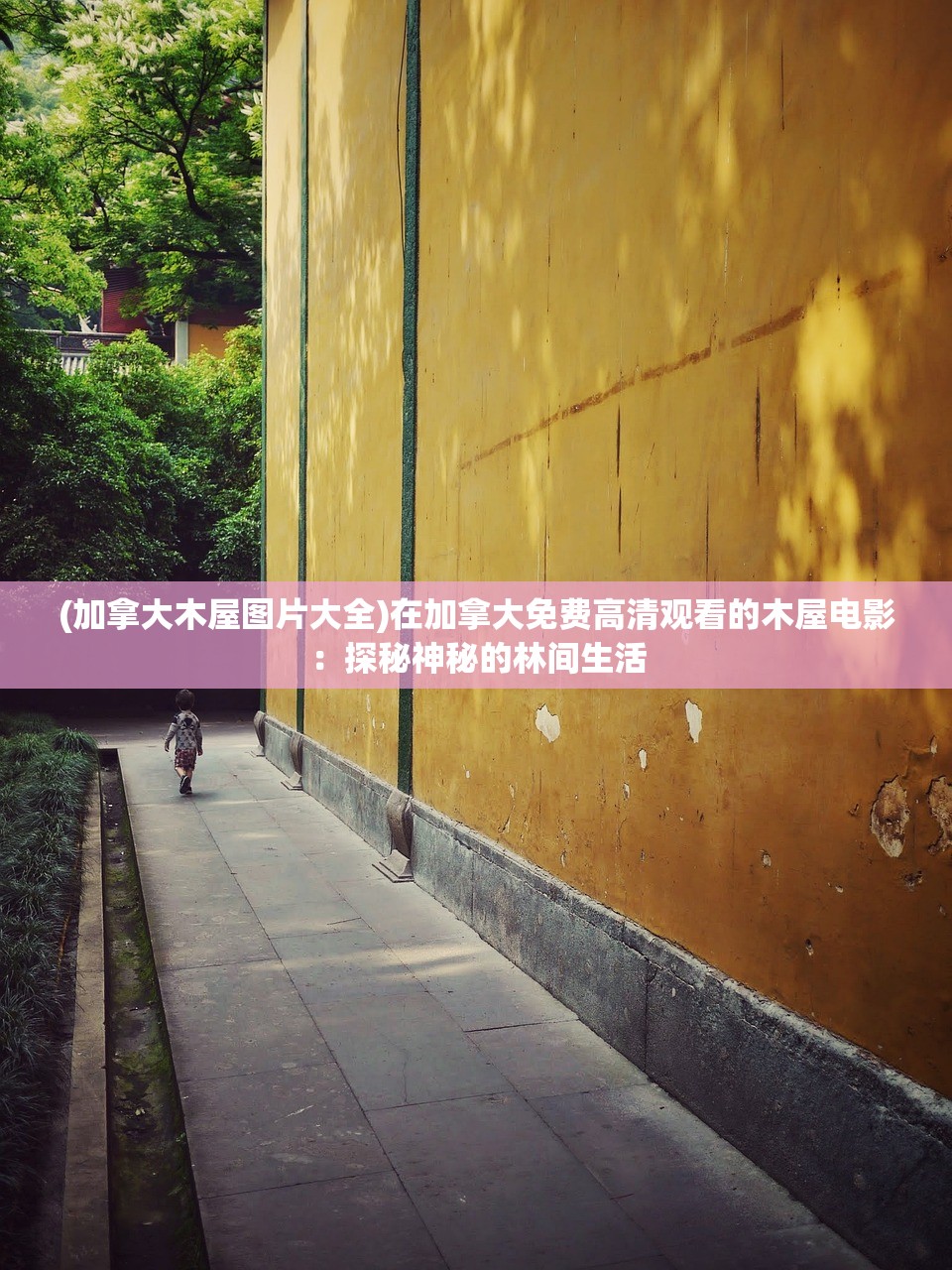 (加拿大木屋图片大全)在加拿大免费高清观看的木屋电影：探秘神秘的林间生活