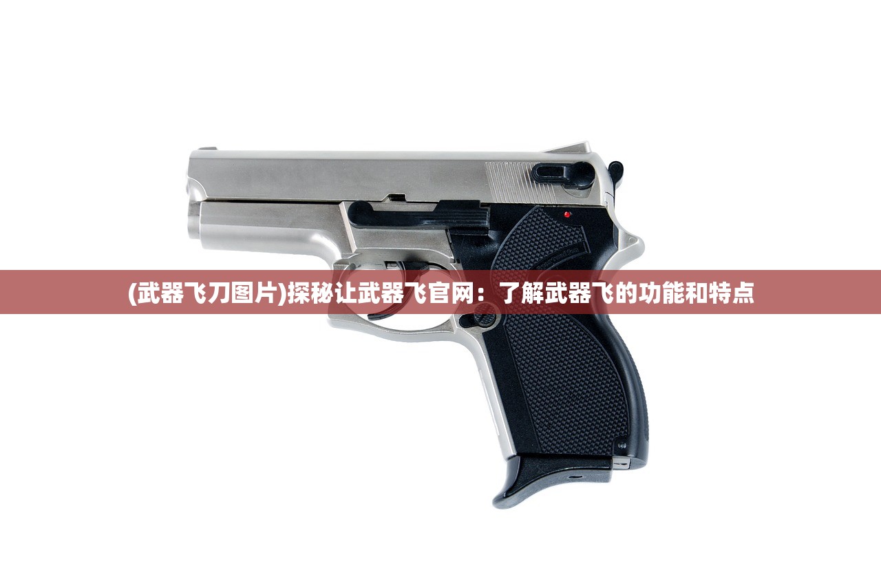 (武器飞刀图片)探秘让武器飞官网：了解武器飞的功能和特点