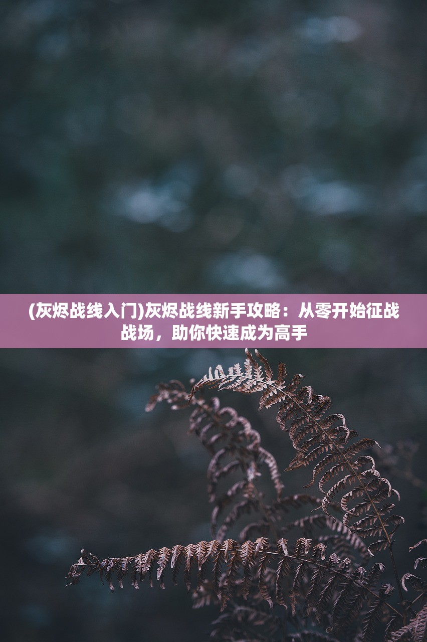 (灰烬战线入门)灰烬战线新手攻略：从零开始征战战场，助你快速成为高手