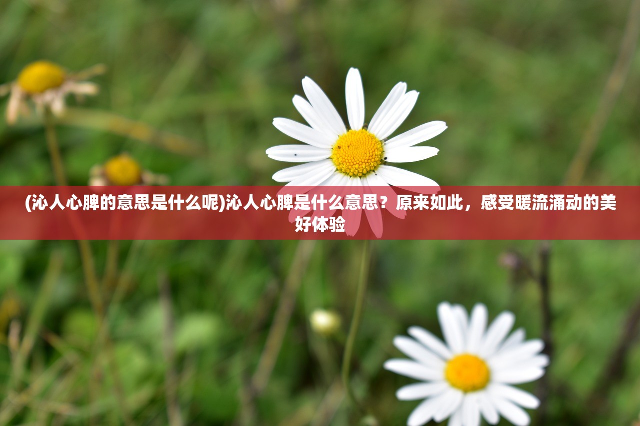 (沁人心脾的意思是什么呢)沁人心脾是什么意思？原来如此，感受暖流涌动的美好体验