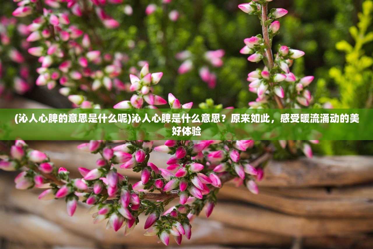 (沁人心脾的意思是什么呢)沁人心脾是什么意思？原来如此，感受暖流涌动的美好体验