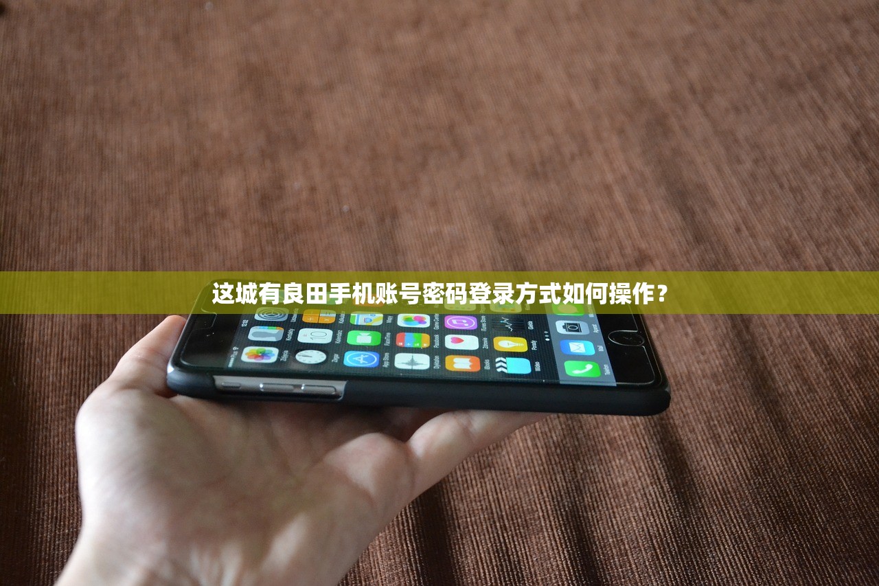 这城有良田手机账号密码登录方式如何操作？