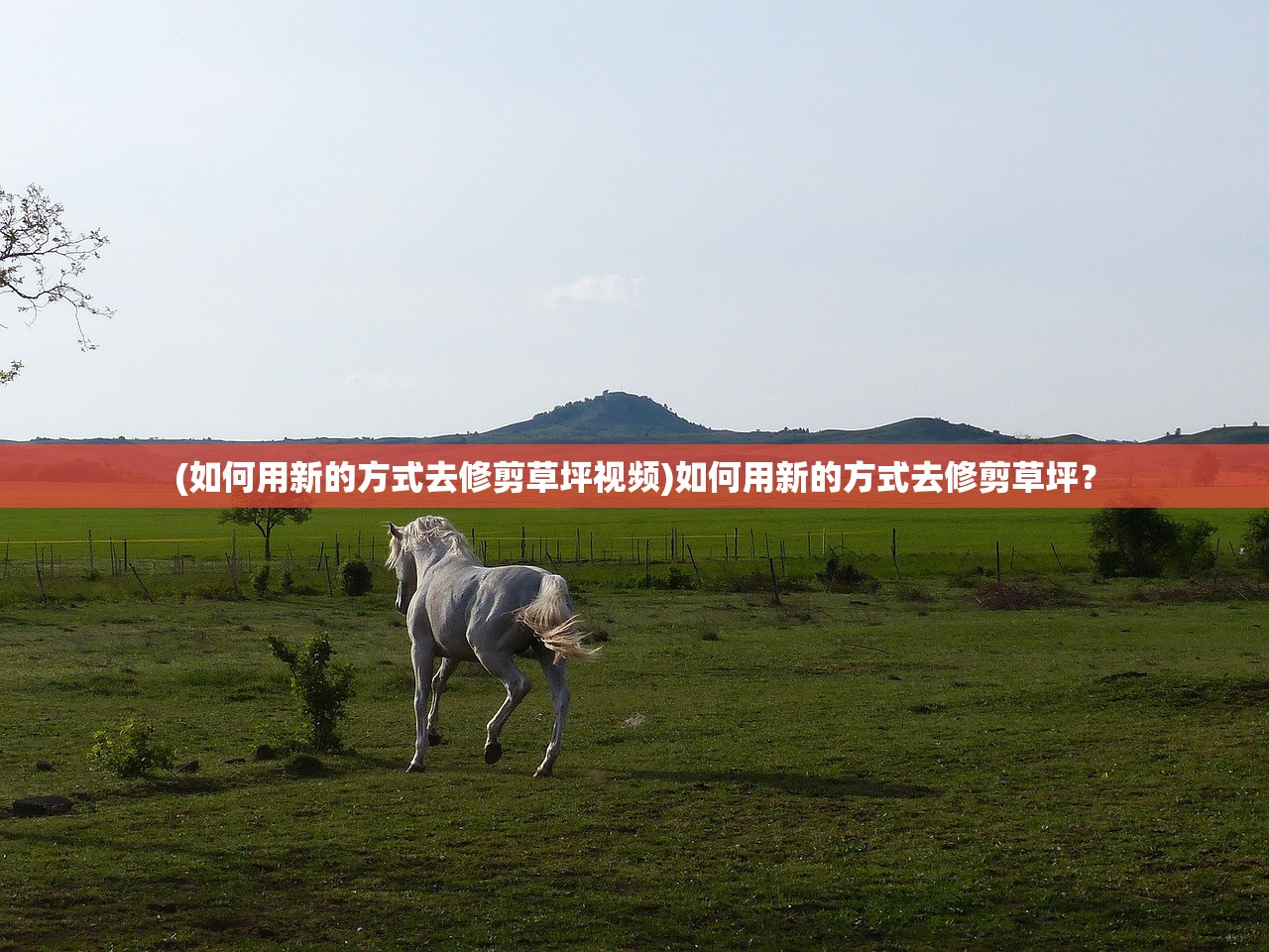 (如何用新的方式去修剪草坪视频)如何用新的方式去修剪草坪？