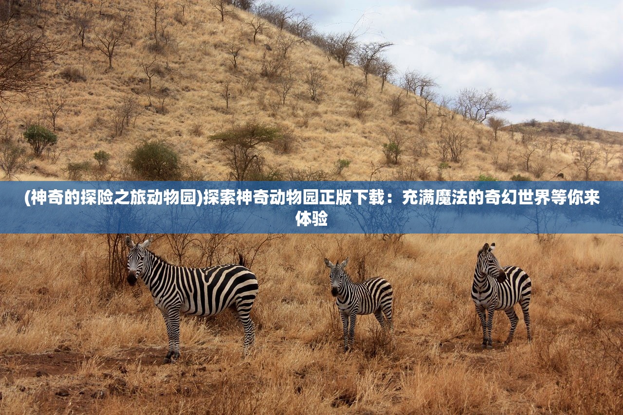 (神奇的探险之旅动物园)探索神奇动物园正版下载：充满魔法的奇幻世界等你来体验