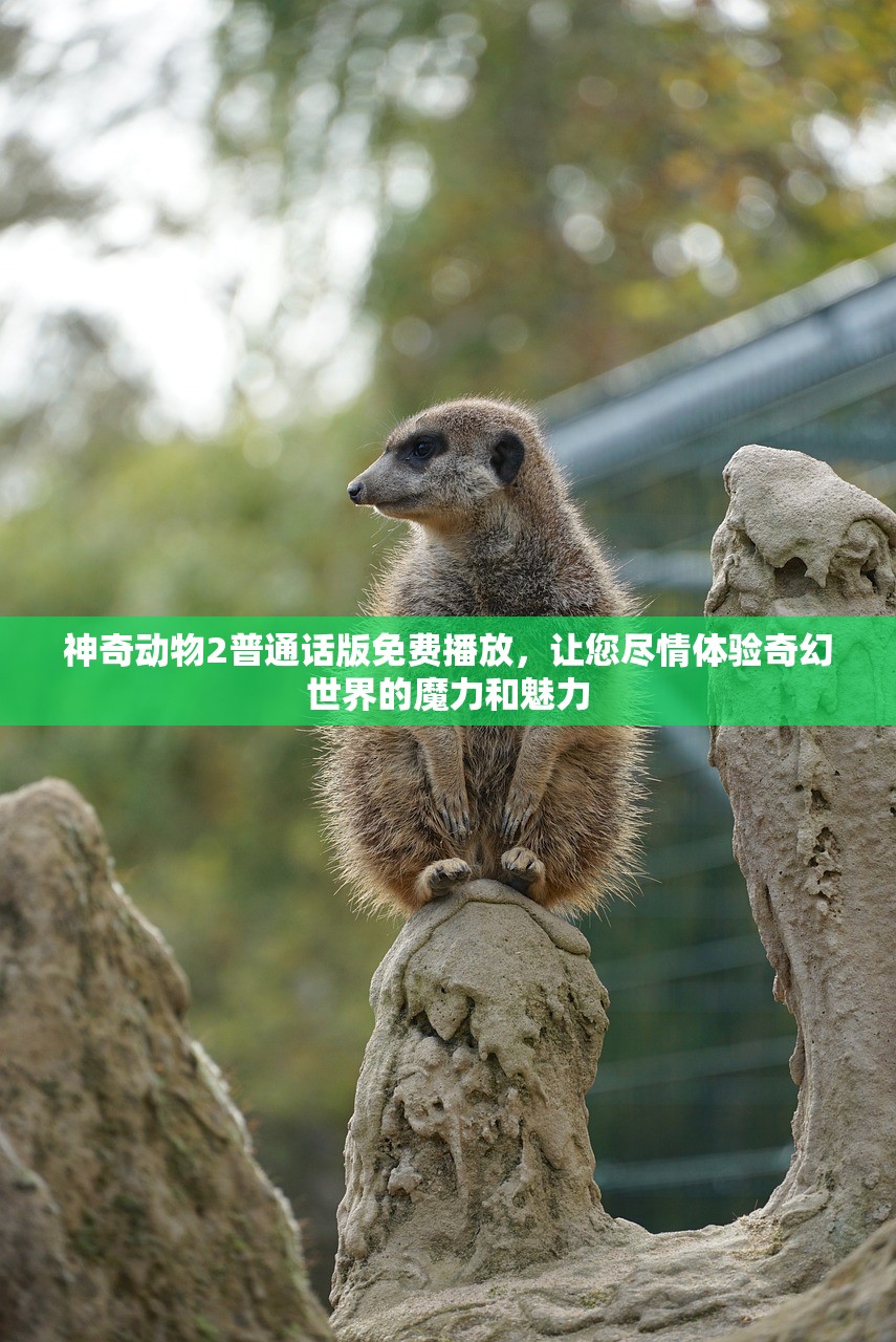 神奇动物2普通话版免费播放，让您尽情体验奇幻世界的魔力和魅力