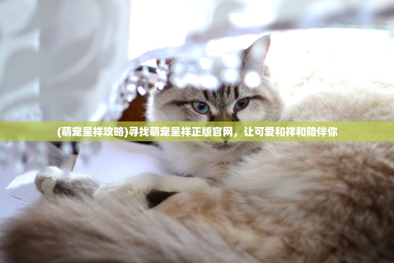 (少年的人间奇遇魔女篇攻略大全)少年的人间奇遇魔女篇攻略详解及常见问题解答