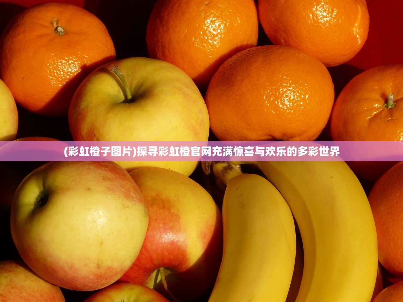 (彩虹橙子图片)探寻彩虹橙官网充满惊喜与欢乐的多彩世界