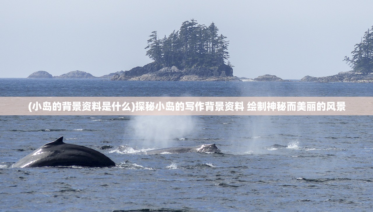 (小岛的背景资料是什么)探秘小岛的写作背景资料 绘制神秘而美丽的风景