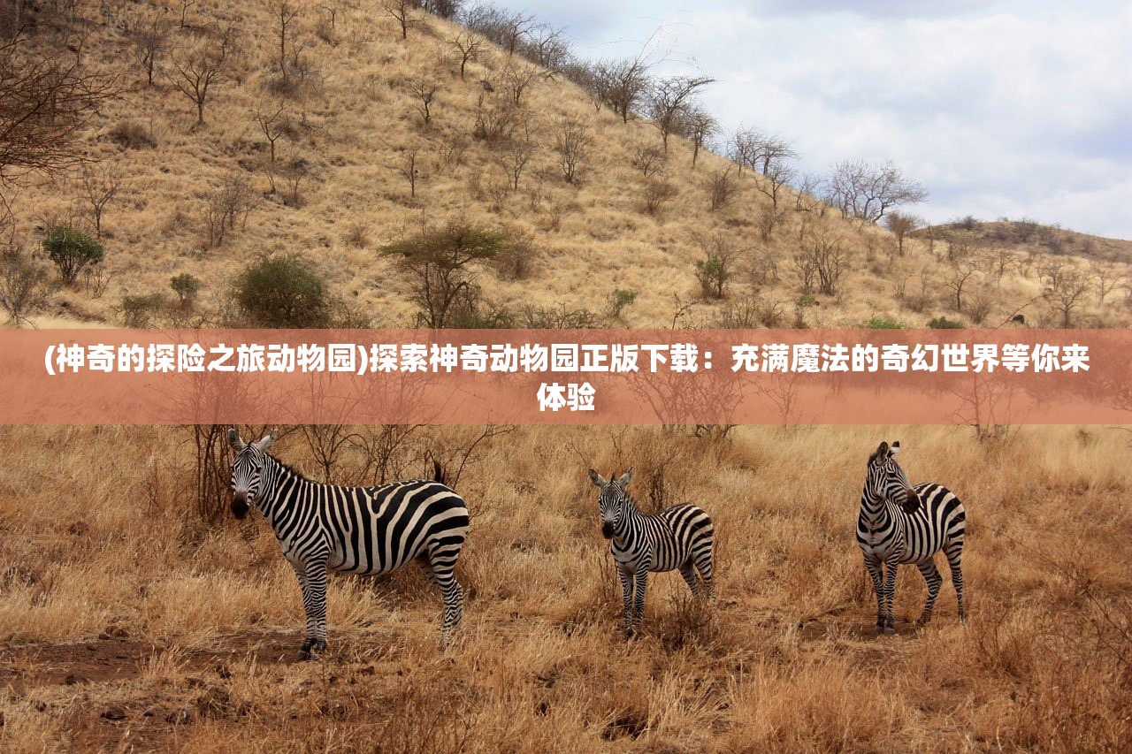 (神奇的探险之旅动物园)探索神奇动物园正版下载：充满魔法的奇幻世界等你来体验
