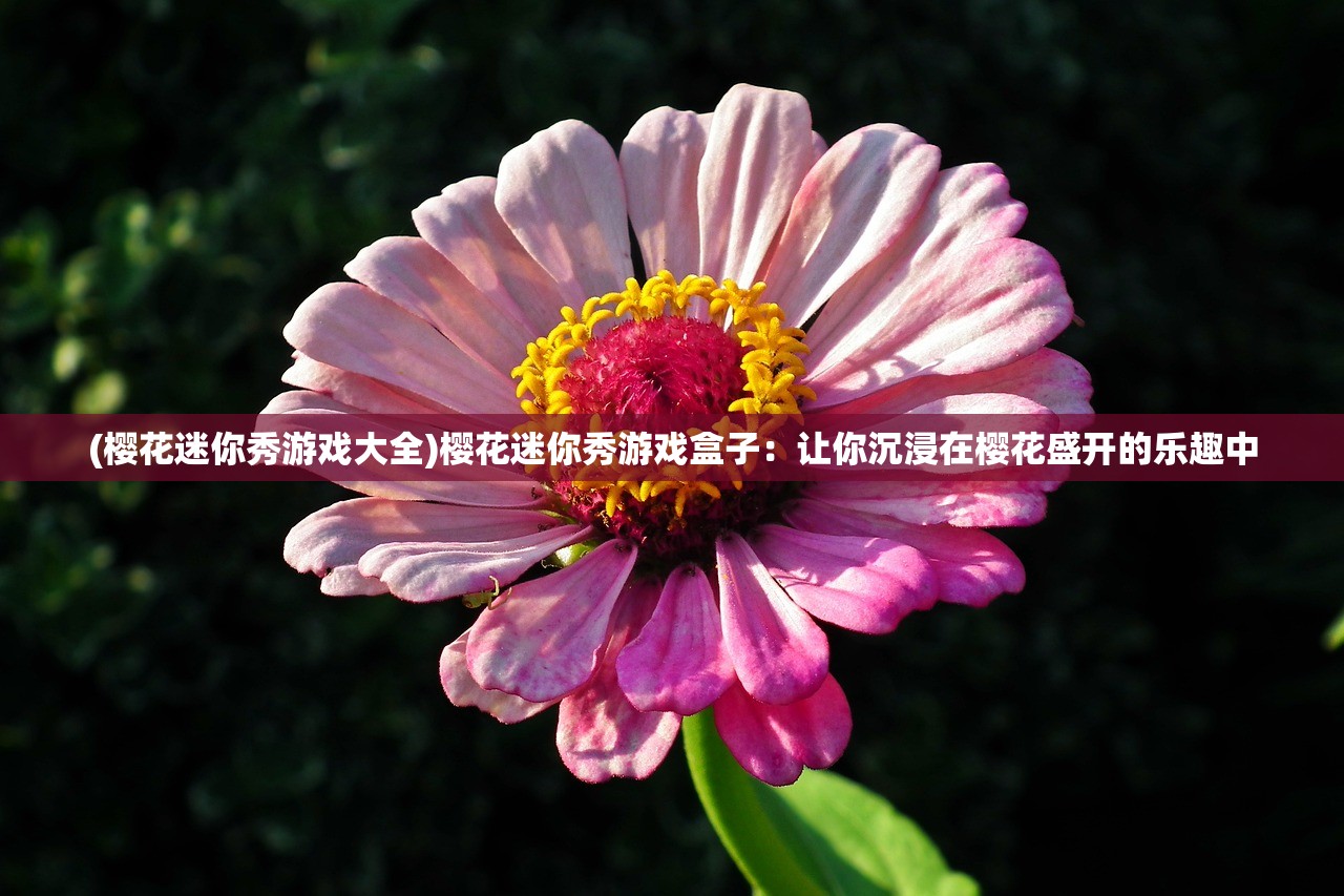 (樱花迷你秀游戏大全)樱花迷你秀游戏盒子：让你沉浸在樱花盛开的乐趣中