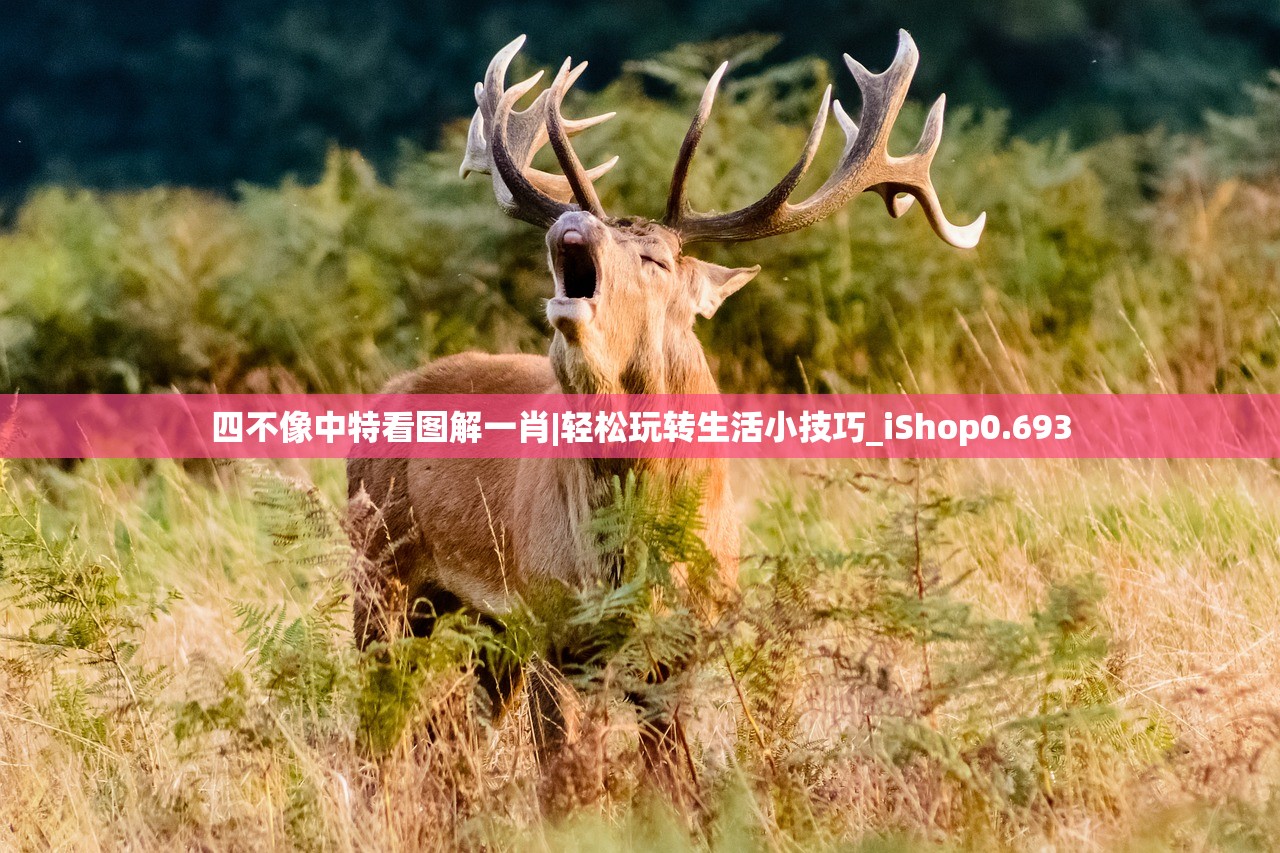 四不像中特看图解一肖|轻松玩转生活小技巧_iShop0.693