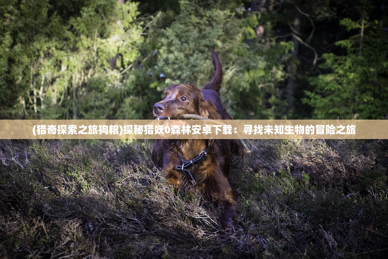(猎奇探索之旅狗粮)探秘猎妖0森林安卓下载：寻找未知生物的冒险之旅