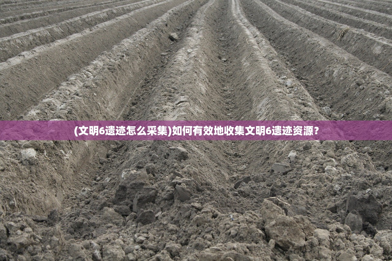 (文明6遗迹怎么采集)如何有效地收集文明6遗迹资源？