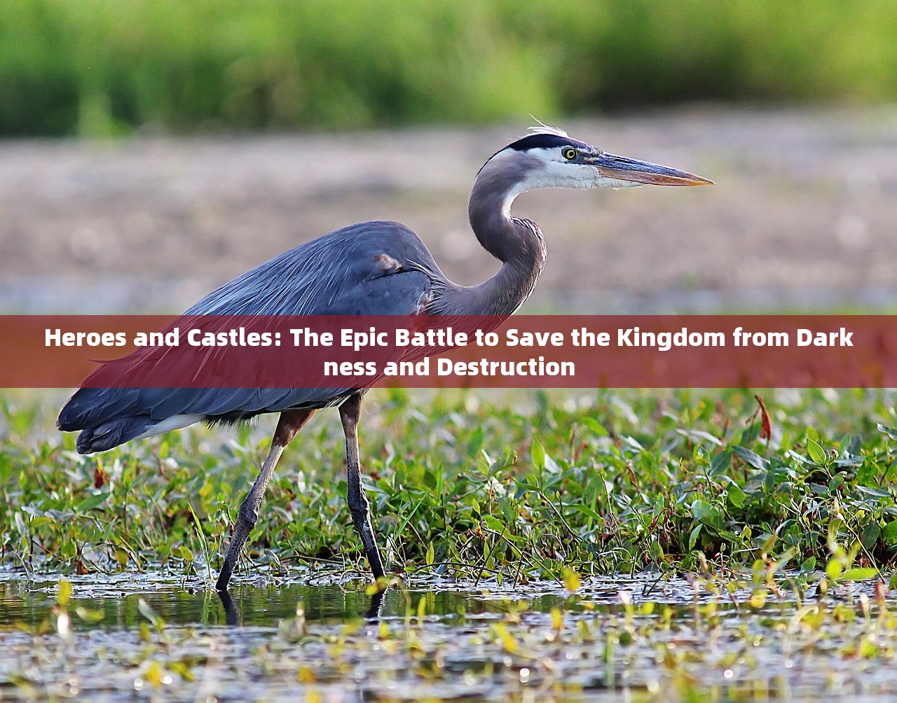 Heroes and Castles: The Epic Battle to Save the Kingdom from Darkness and Destruction