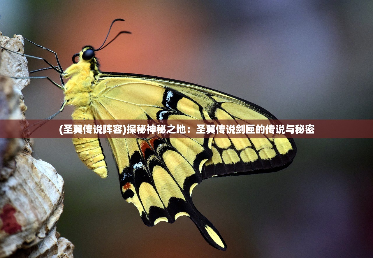(圣翼传说阵容)探秘神秘之地：圣翼传说剑匣的传说与秘密