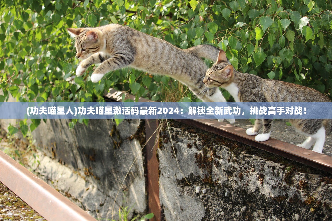 (功夫喵星人)功夫喵星激活码最新2024：解锁全新武功，挑战高手对战！