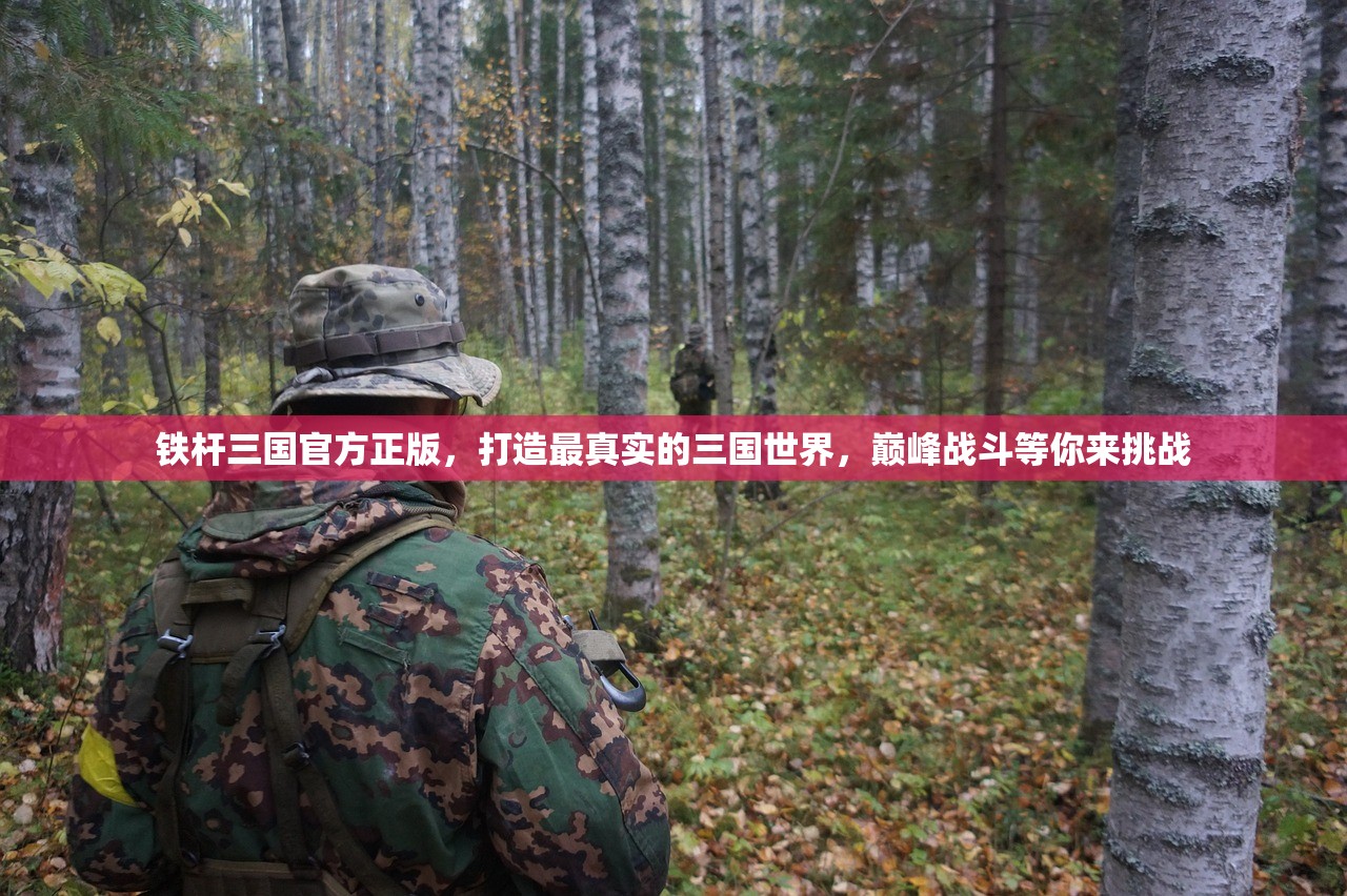 铁杆三国官方正版，打造最真实的三国世界，巅峰战斗等你来挑战