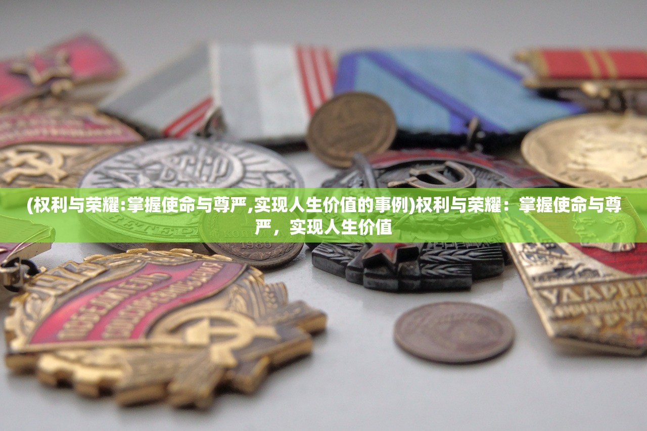 (权利与荣耀:掌握使命与尊严,实现人生价值的事例)权利与荣耀：掌握使命与尊严，实现人生价值