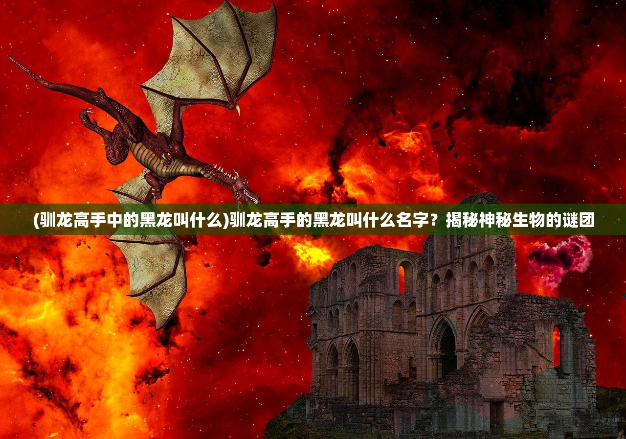(驯龙高手中的黑龙叫什么)驯龙高手的黑龙叫什么名字？揭秘神秘生物的谜团