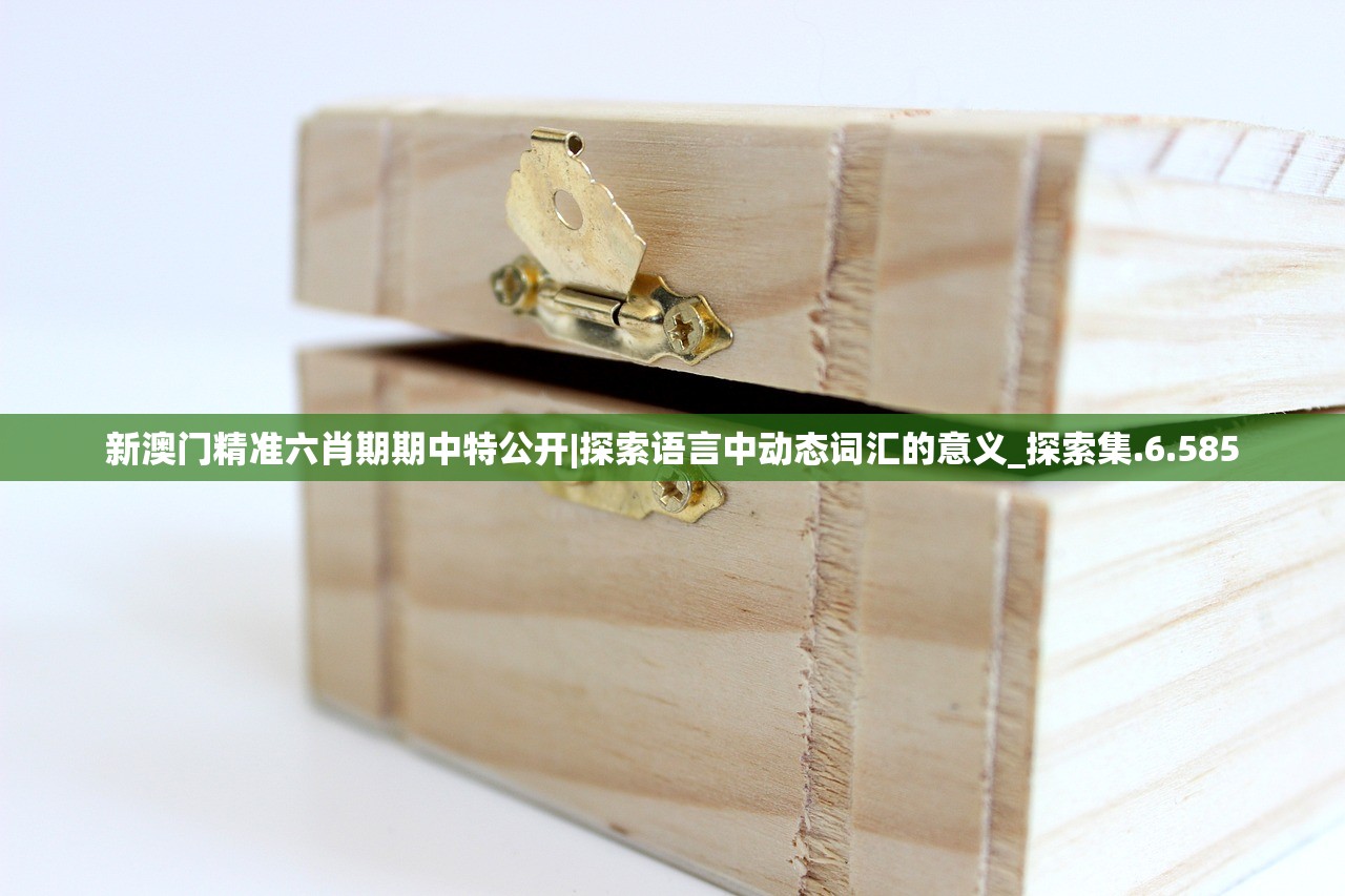 新澳门精准六肖期期中特公开|探索语言中动态词汇的意义_探索集.6.585