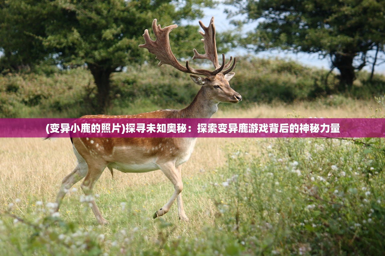 (变异小鹿的照片)探寻未知奥秘：探索变异鹿游戏背后的神秘力量