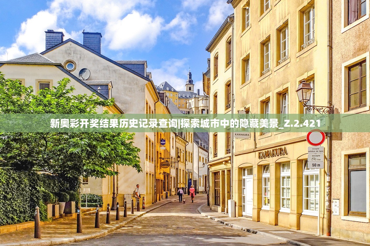 新奥彩开奖结果历史记录查询|探索城市中的隐藏美景_Z.2.421