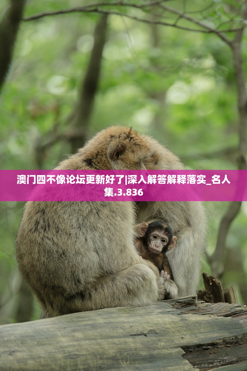 (动漫梦之翼)动漫梦之世界，探索、想象与无限可能