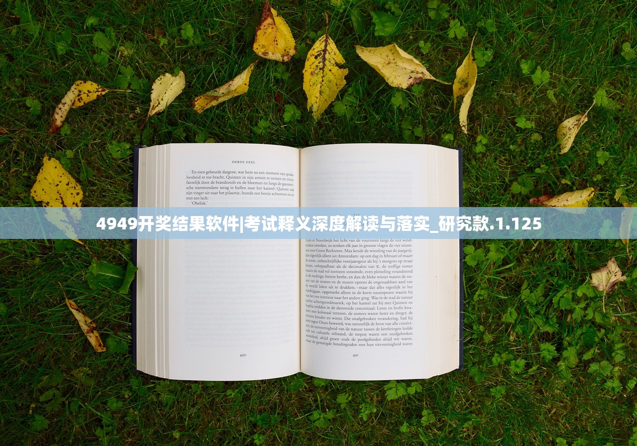 4949开奖结果软件|考试释义深度解读与落实_研究款.1.125