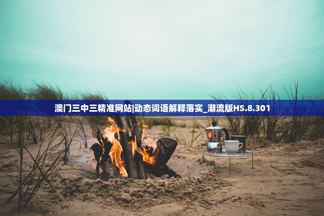 澳门三中三精准网站|动态词语解释落实_潮流版HS.8.301