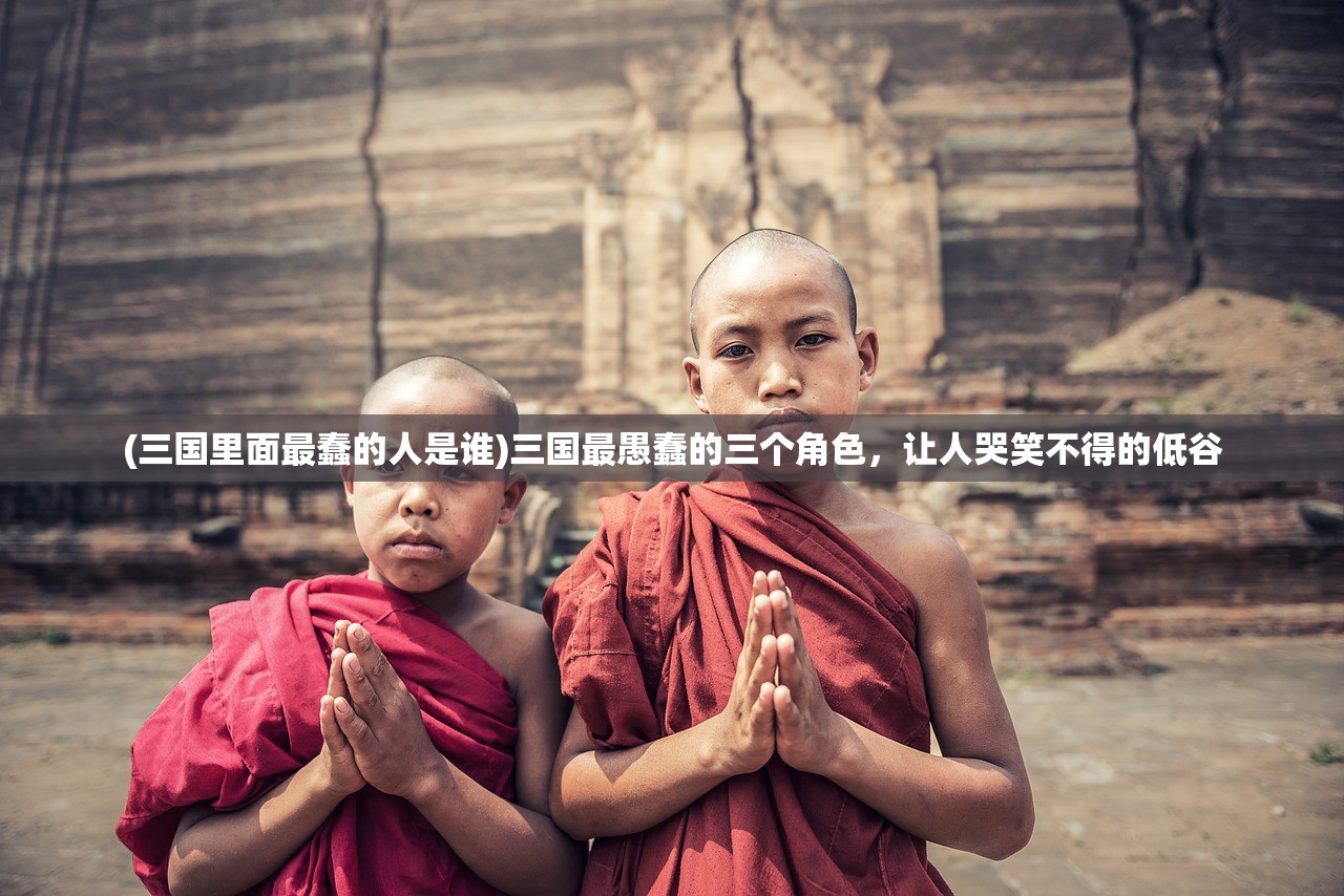 (三国里面最蠢的人是谁)三国最愚蠢的三个角色，让人哭笑不得的低谷