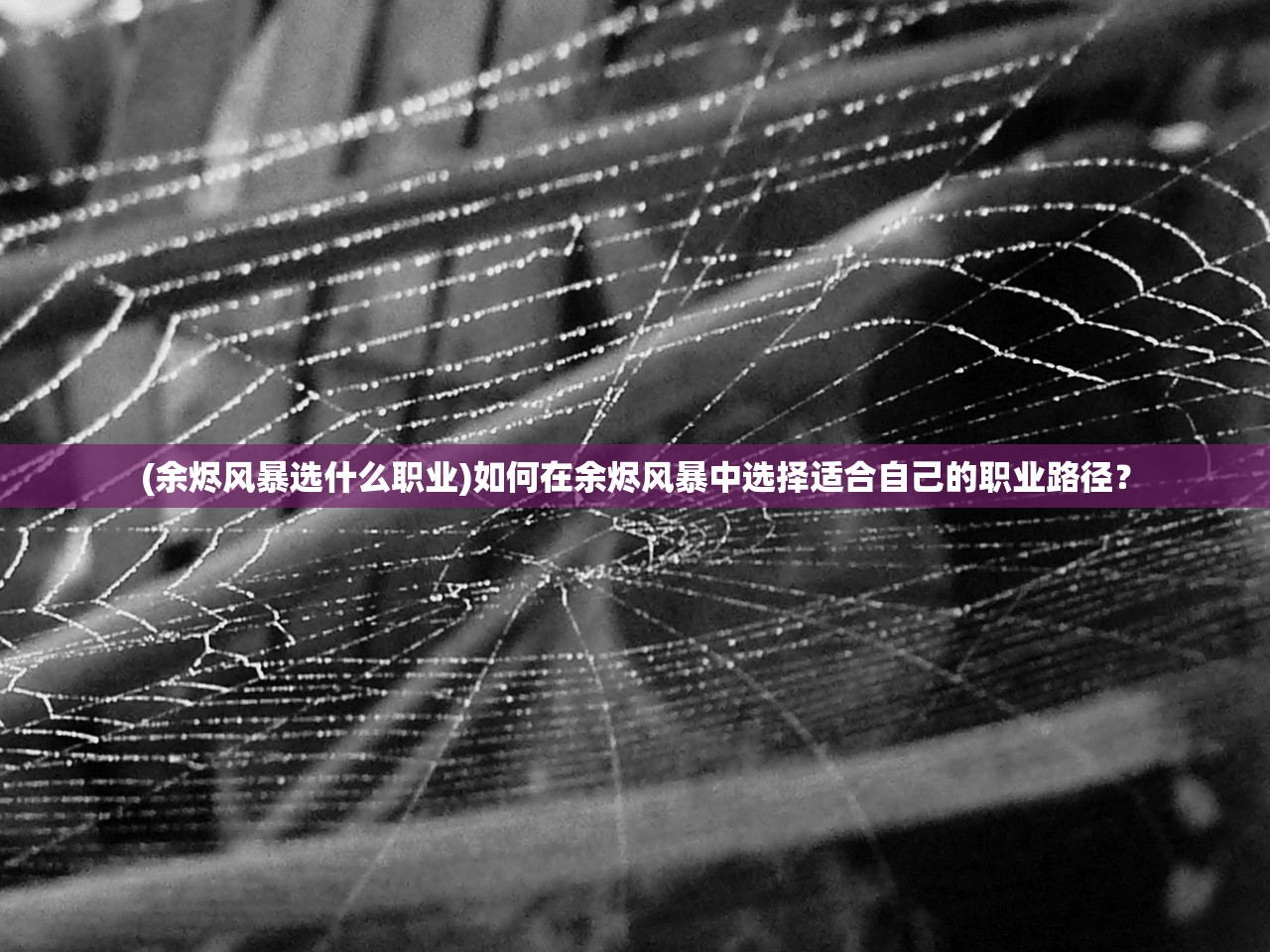 (余烬风暴选什么职业)如何在余烬风暴中选择适合自己的职业路径？