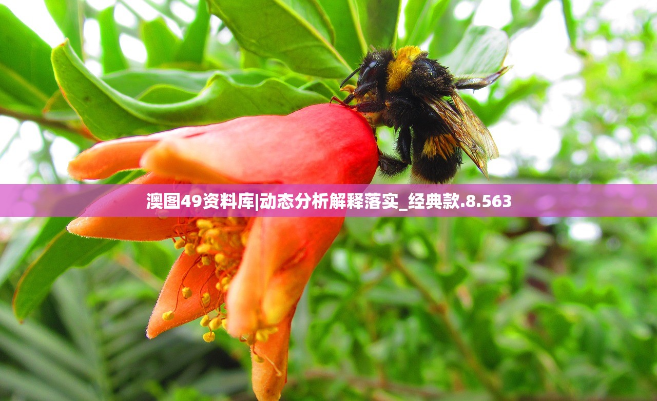 (代号moon)代号敕月纪剧情深度解析与探讨