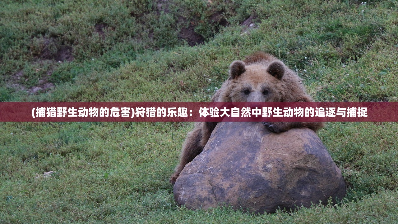 (捕猎野生动物的危害)狩猎的乐趣：体验大自然中野生动物的追逐与捕捉